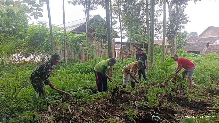 Babinsa Wonokoyo Dukung Program Ketahanan Pangan, Bantu Warga Tanami Lahan&nbsp;Kosong