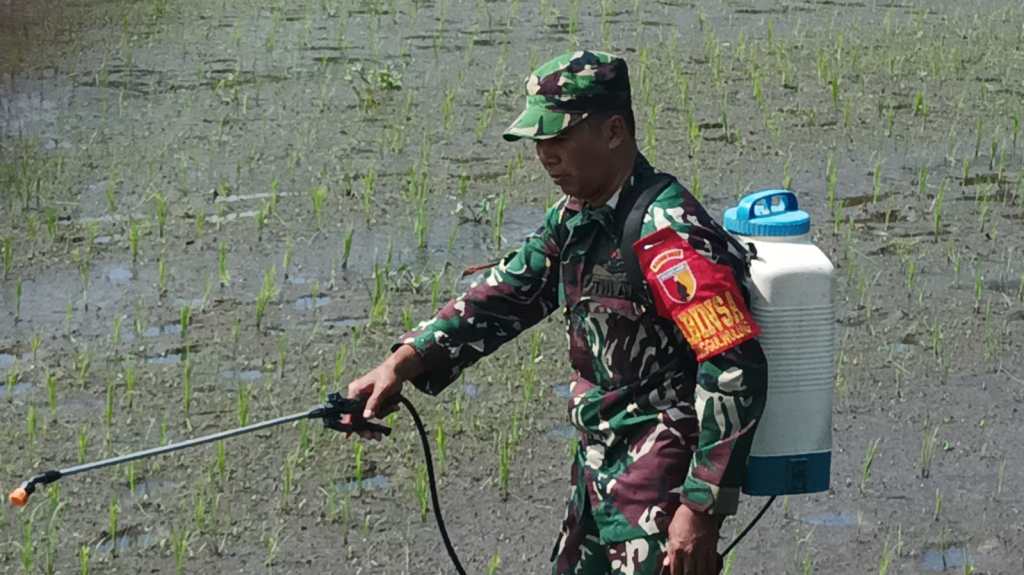 Sukseskan Program Hanpangan Babinsa Tunggulwulung Bantu Poktan Wulung Kencono&nbsp;1