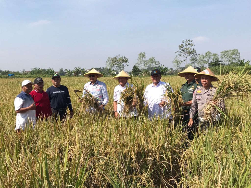 Pupuk Subsidi di Kota Malang Diarahkan untuk 2.562&nbsp;Petani